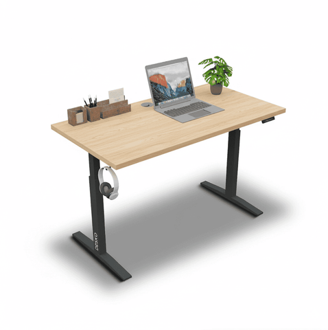 Standing Desk - Dual Motor